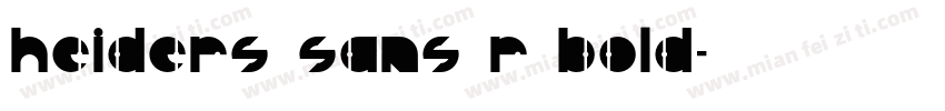 Heiders Sans R Bold字体转换